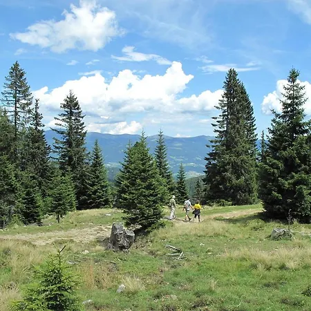 Wildbachhutte Apartment Klippitztorl